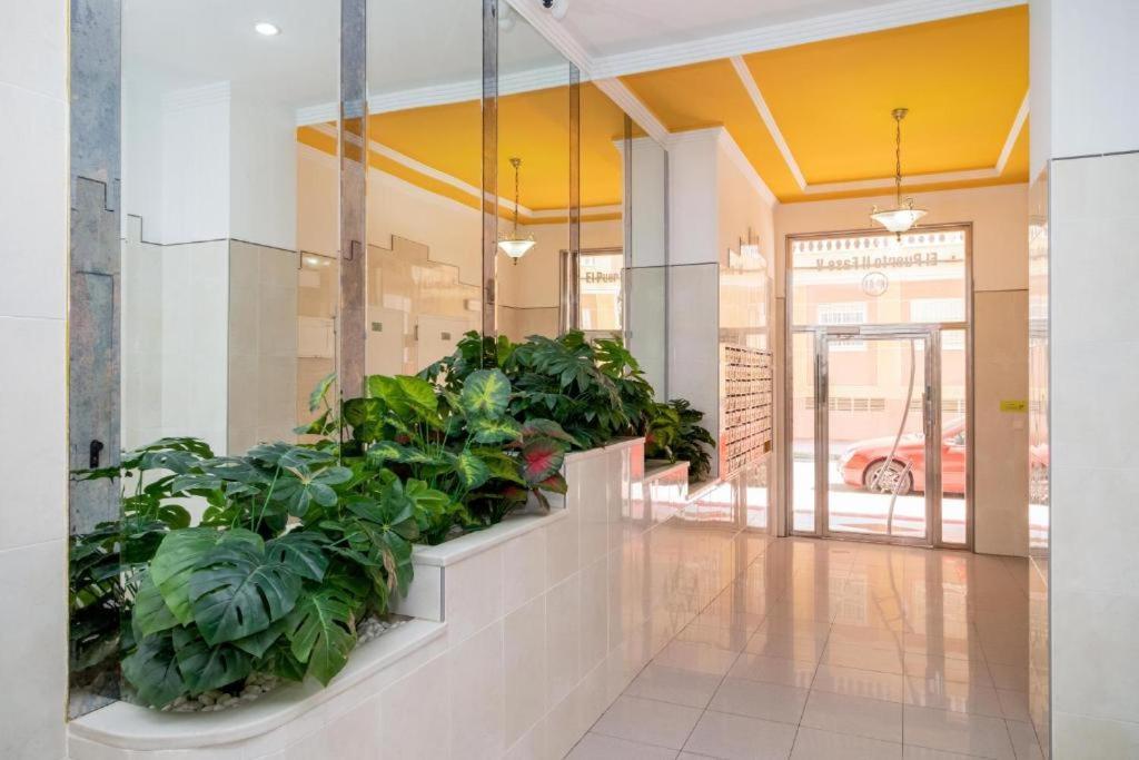 Bonito Apartamento En Torrevieja Extérieur photo