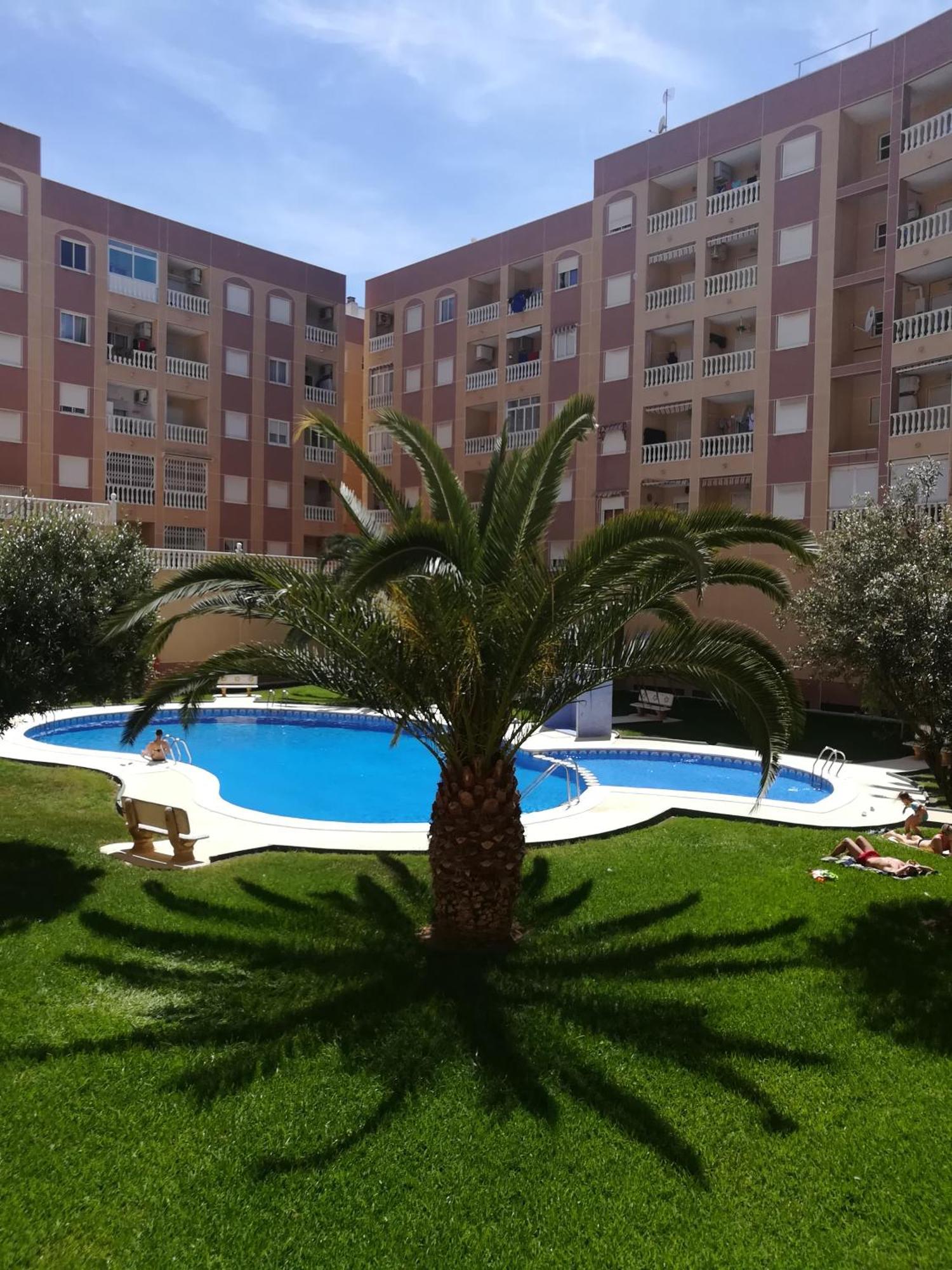 Bonito Apartamento En Torrevieja Extérieur photo